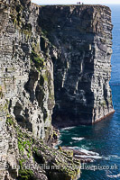 Marwick Head, Orkney.